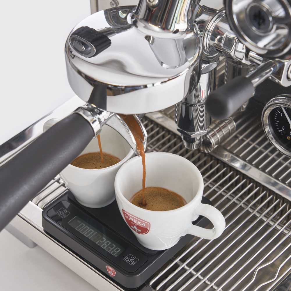 Eureka Pura Espressomachine RVS - Precisie, Snelheid en Stijlvol Design
