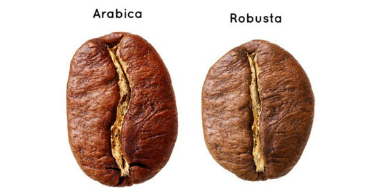 Arabica-vs.-Robusta-Welke-Koffieboon-Is-Beter Koffie Kenner
