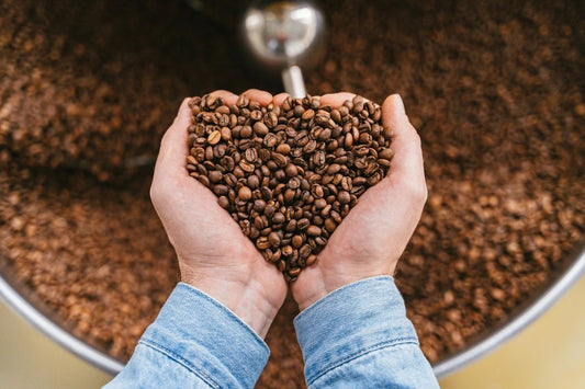 Perfectie-technieken-voor-de-ultieme-koffie-ervaring Koffie Kenner