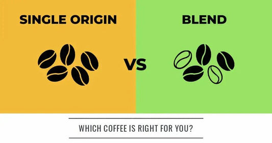 Single-Origin-vs.-Blend-Wat-Past-Het-Beste-Bij-Jouw-Smaak Koffie Kenner