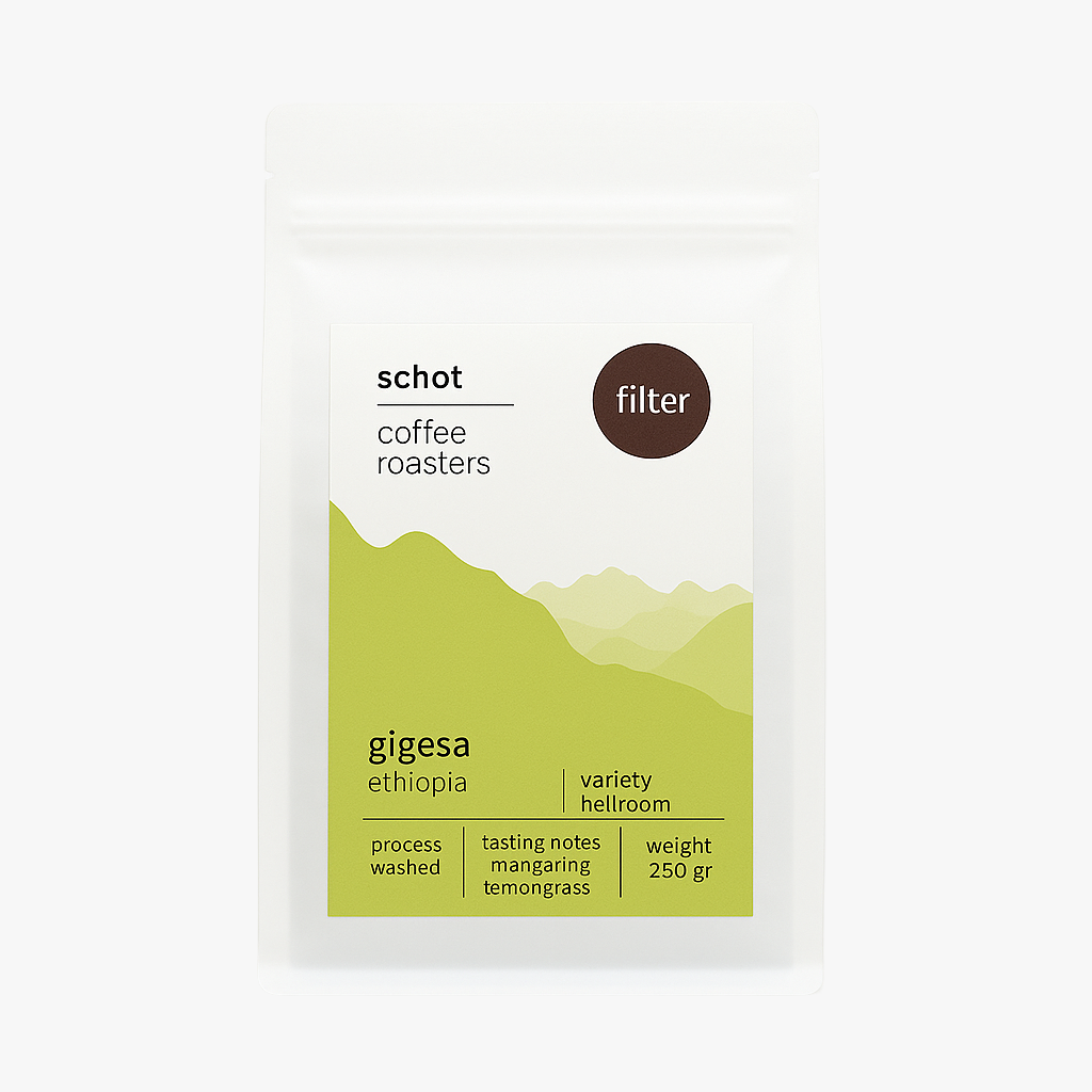 Gigesa Schot