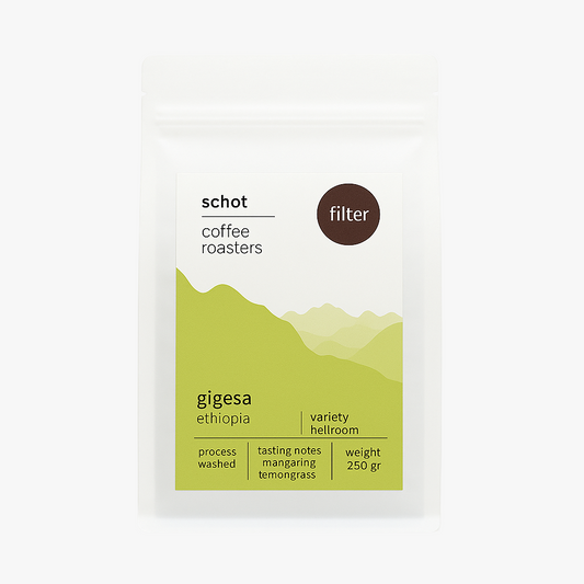 Gigesa Schot