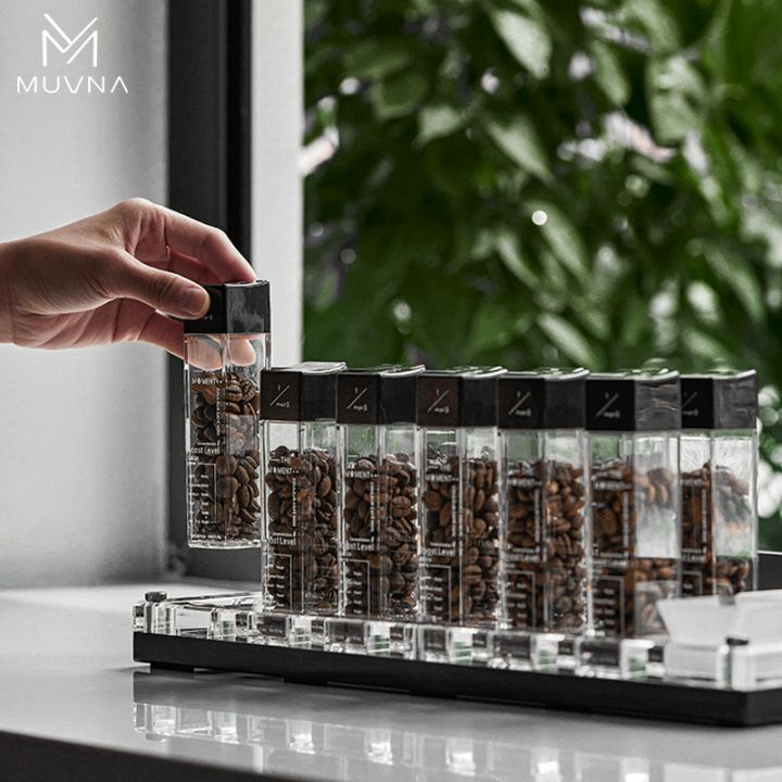 MUVNA - 1/3 Angel Coffee Bean Display Tube - 12 Koffie Kenner