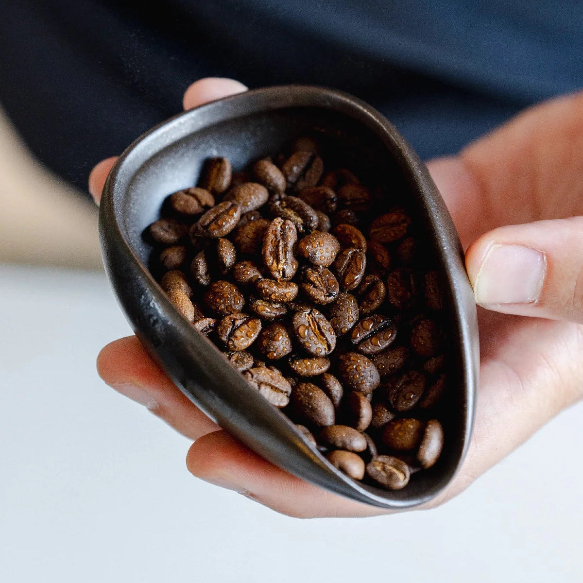 https://cdn.shopify.com/s/files/1/0920/8548/5951/files/RDT-spray-bottle-coffee_07.webp?v=1760098863