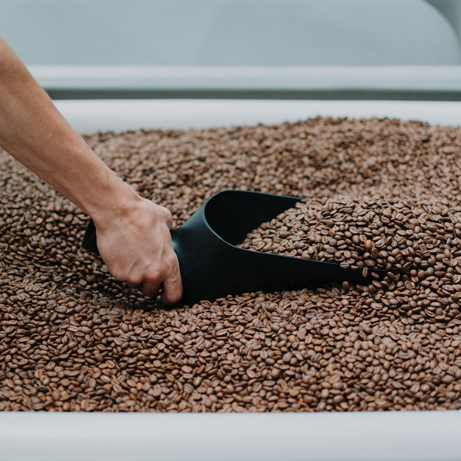 Rhino Coffee Bean Scoop 1kg Rhino Coffee Gear