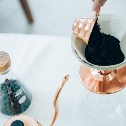 Hario V60 Koperen Maatlepel 12g HARIO